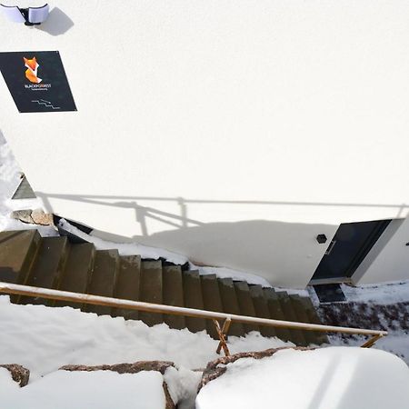 Blackfoxrest Ferienwohnung Feldberg  Εξωτερικό φωτογραφία