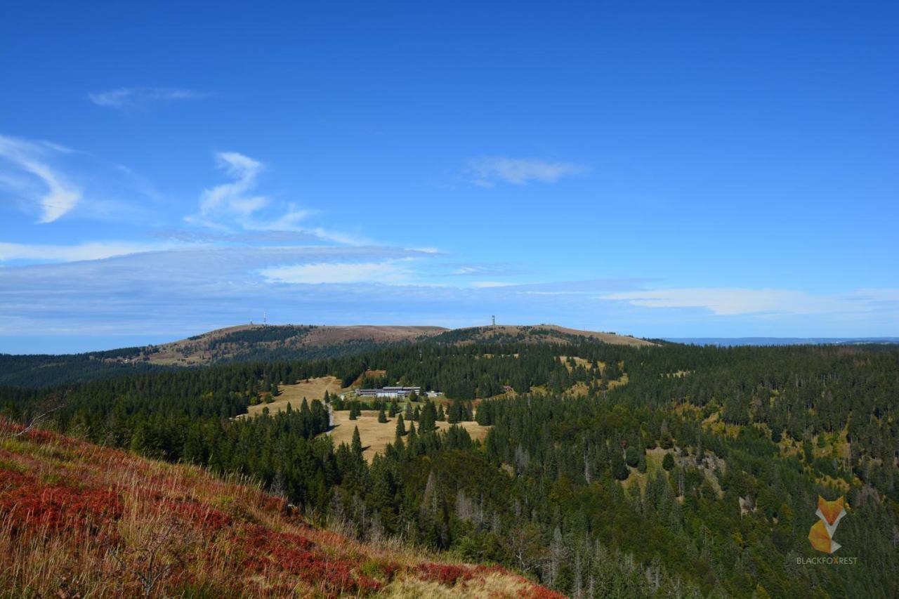 Blackfoxrest Ferienwohnung Feldberg  Εξωτερικό φωτογραφία