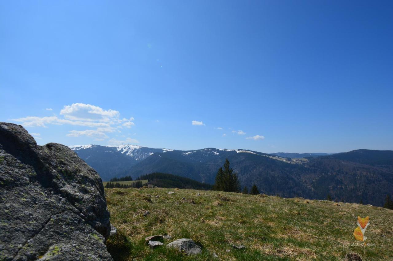 Blackfoxrest Ferienwohnung Feldberg  Εξωτερικό φωτογραφία