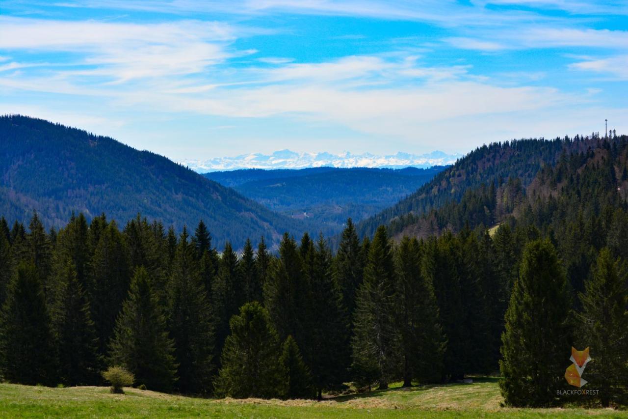 Blackfoxrest Ferienwohnung Feldberg  Εξωτερικό φωτογραφία