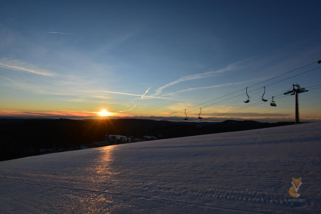 Blackfoxrest Ferienwohnung Feldberg  Εξωτερικό φωτογραφία