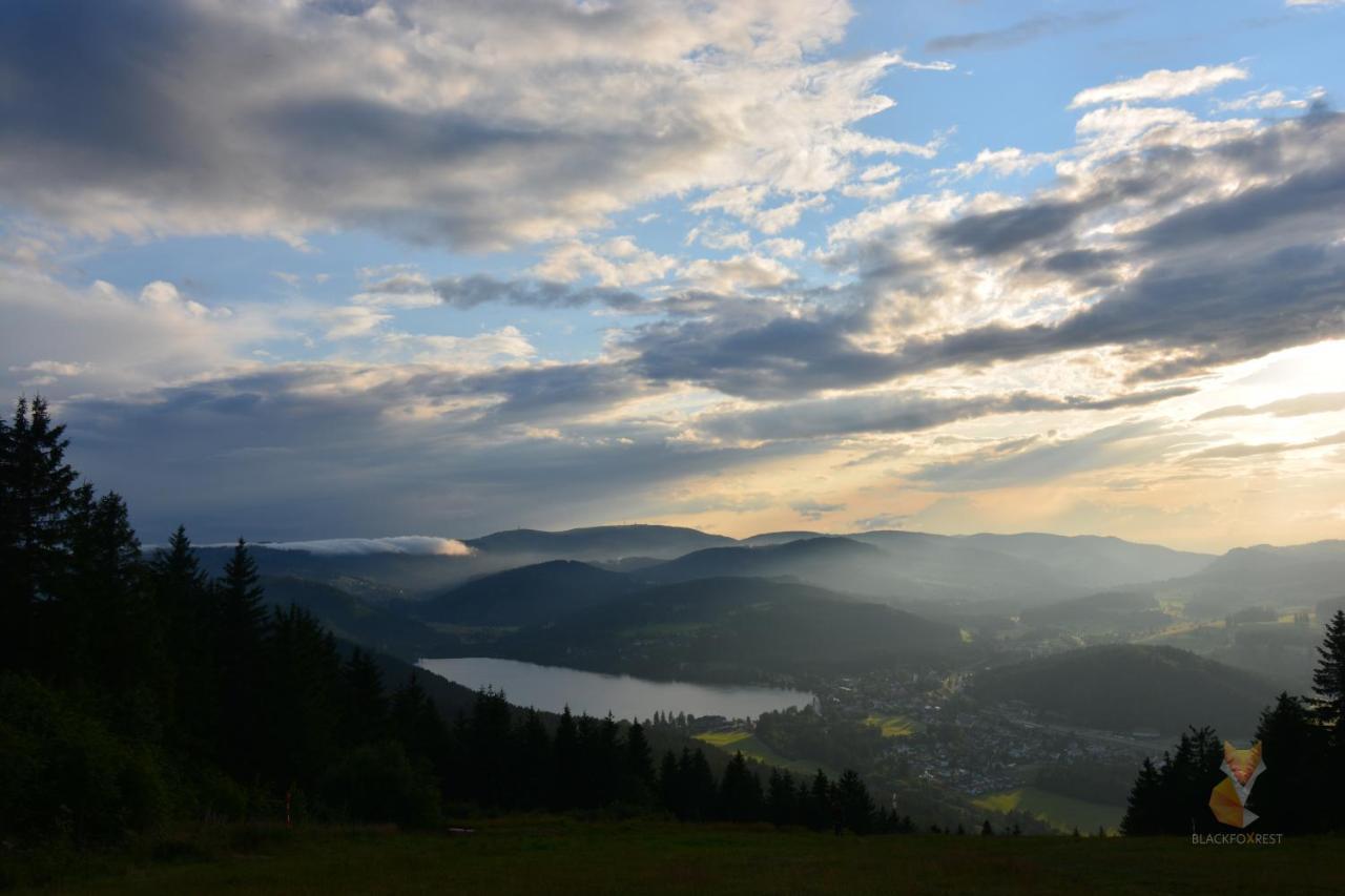 Blackfoxrest Ferienwohnung Feldberg  Εξωτερικό φωτογραφία
