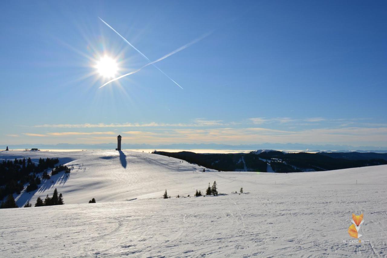 Blackfoxrest Ferienwohnung Feldberg  Εξωτερικό φωτογραφία