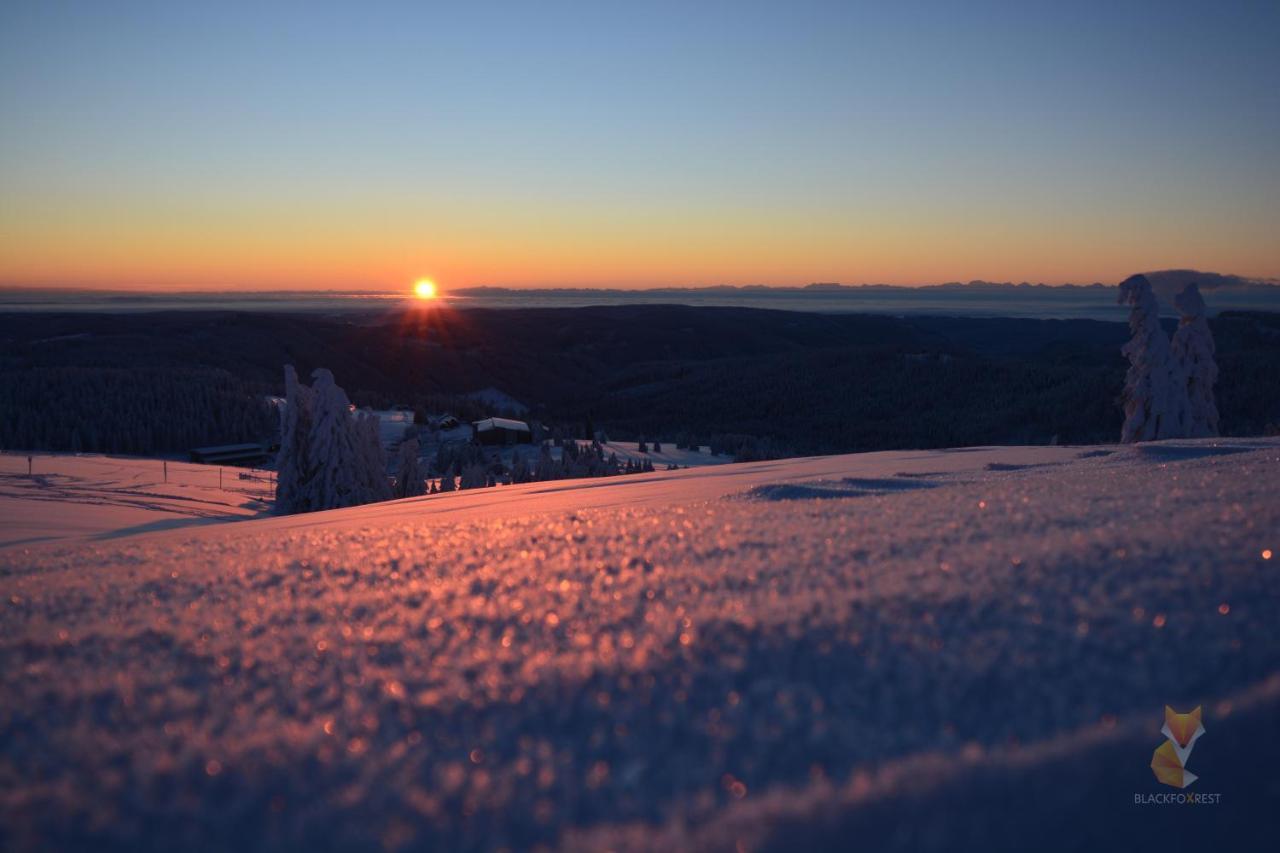Blackfoxrest Ferienwohnung Feldberg  Εξωτερικό φωτογραφία