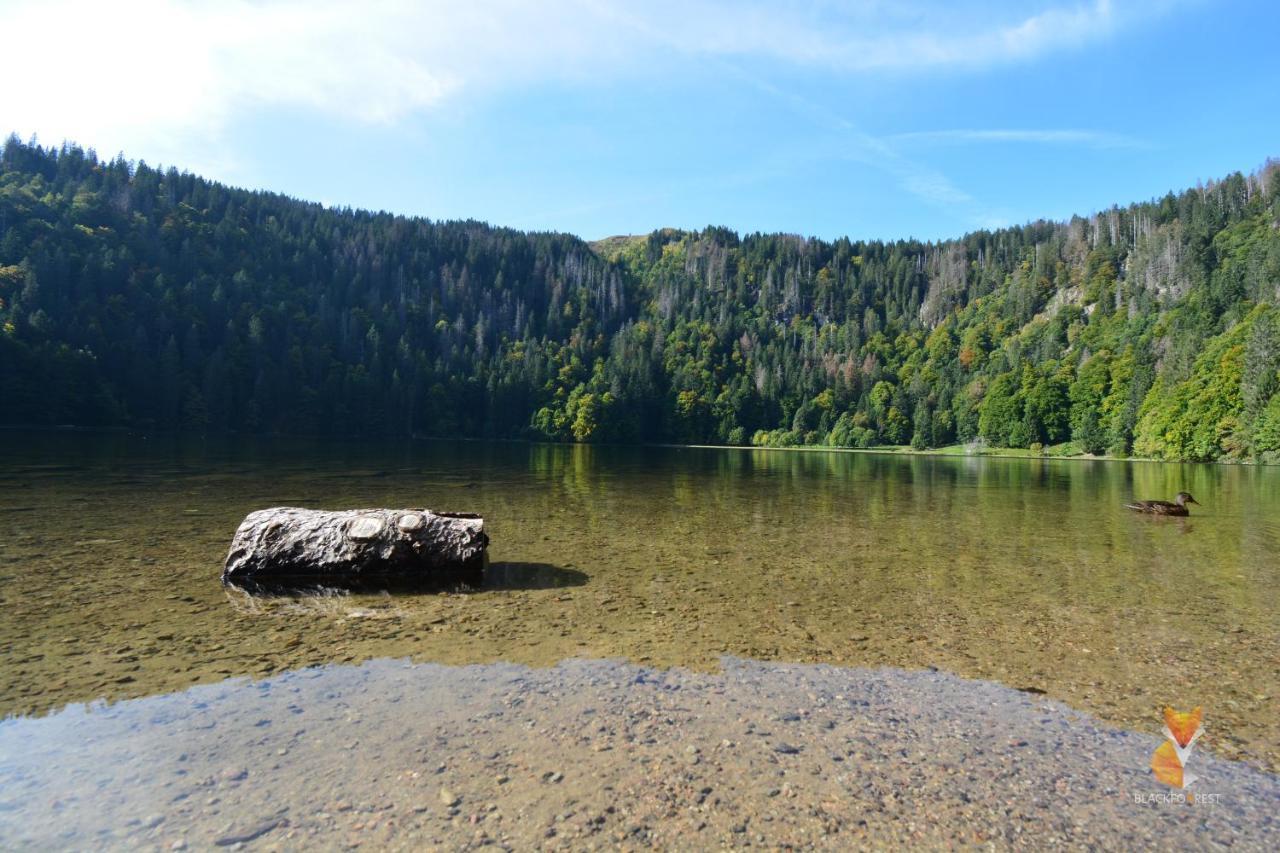 Blackfoxrest Ferienwohnung Feldberg  Εξωτερικό φωτογραφία