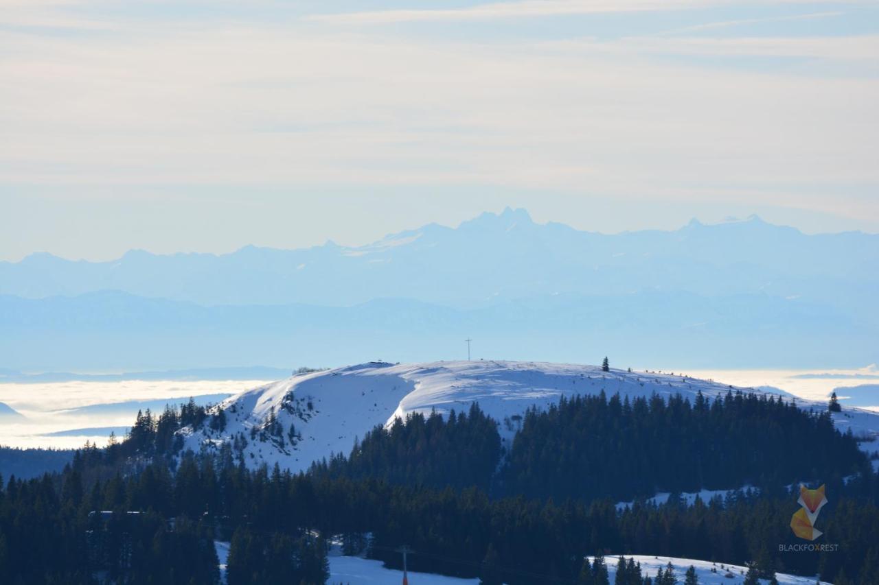 Blackfoxrest Ferienwohnung Feldberg  Εξωτερικό φωτογραφία